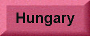Hungarian Business Services