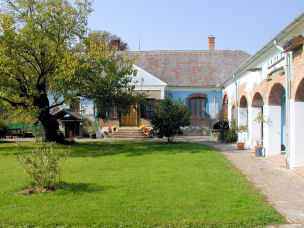 Front door & Mulbury tree