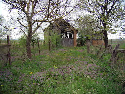 barn