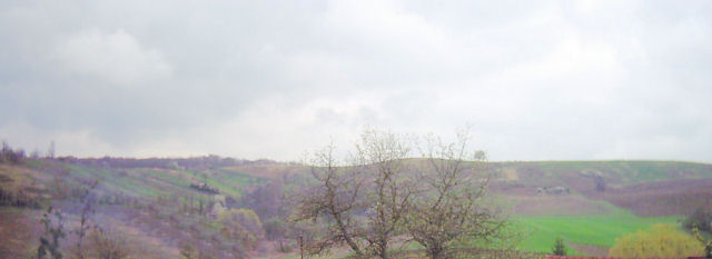 Panorama from the Guest Rooms