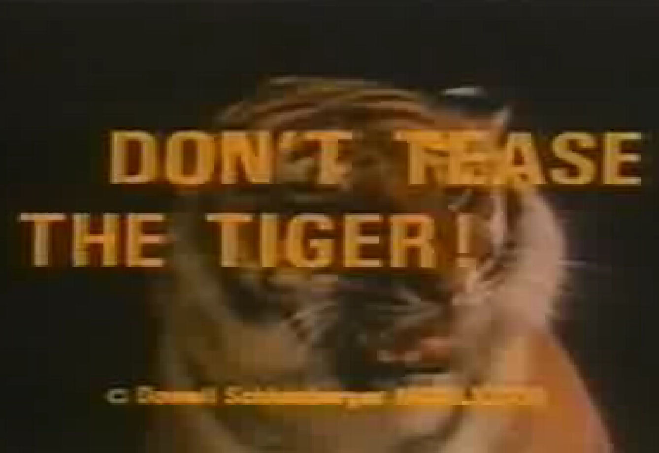 Click to watch: Don't Tease the Tigers